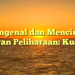 Mengenal dan Mencintai Hewan Peliharaan: Kucing