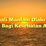 Kenali Manfaat Olahraga Pagi Bagi Kesehatan Anda