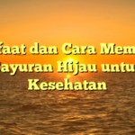 Manfaat dan Cara Memasak Sayuran Hijau untuk Kesehatan