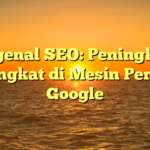 Mengenal SEO: Peningkatan Peringkat di Mesin Pencari Google