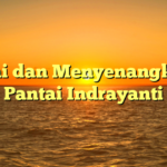 Santai dan Menyenangkan di Pantai Indrayanti