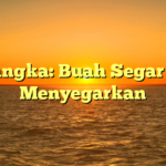 Semangka: Buah Segar yang Menyegarkan