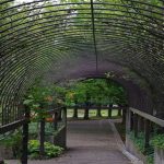 10 Tempat Wisata Jawa Tengah Terbaru untuk Liburan Akhir Tahun 2025