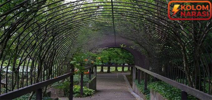 10 Tempat Wisata Jawa Tengah Terbaru untuk Liburan Akhir Tahun 2025